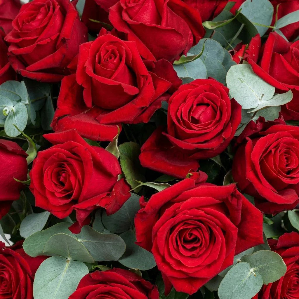 Ramo 18 rosas - Anaís Floristes, floristería en Mataró (foto 3)