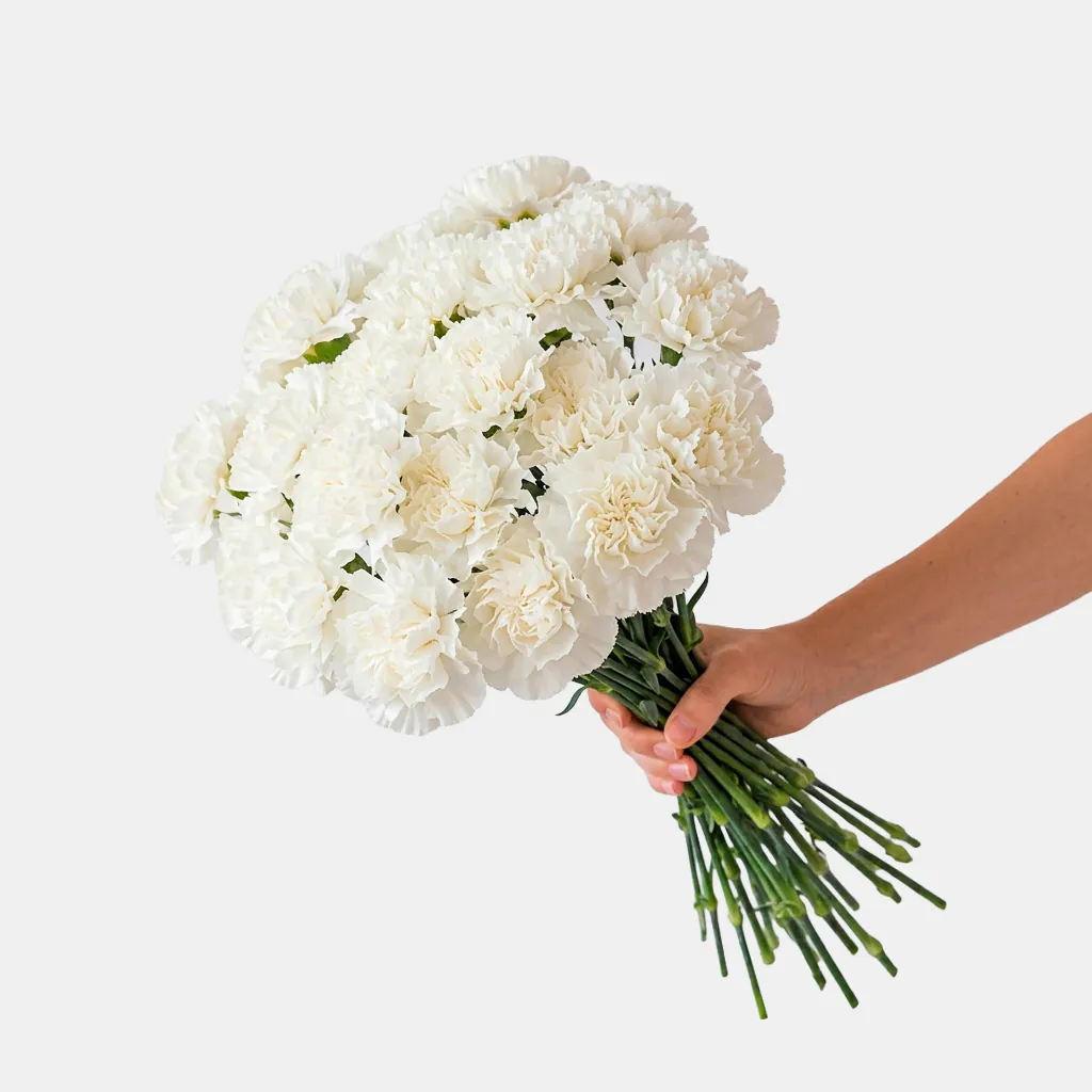 Ramo claveles blancos - Anaís Floristes, floristería en Mataró (foto 2)