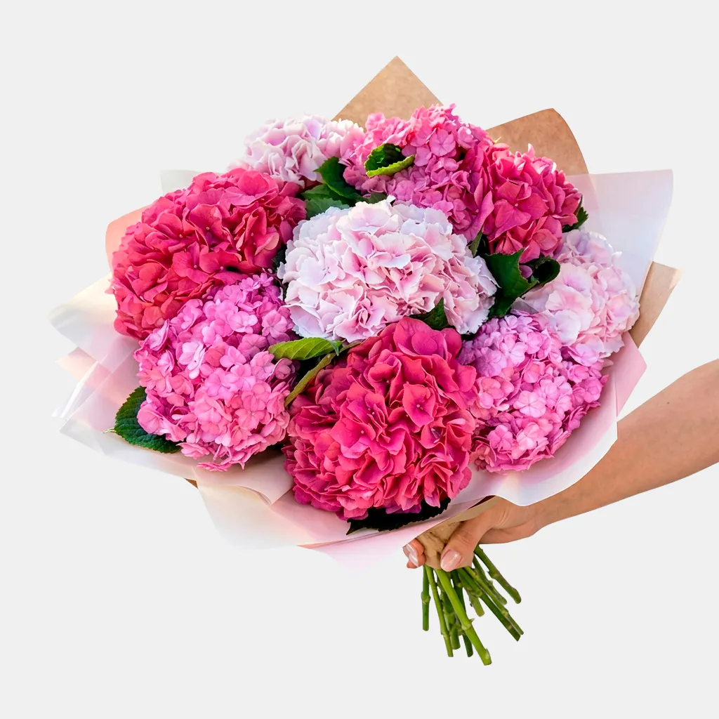 Ramo de hortensias - Anaís Floristes, floristería en Mataró (foto 2)
